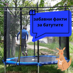 Забавни факти за батутите
